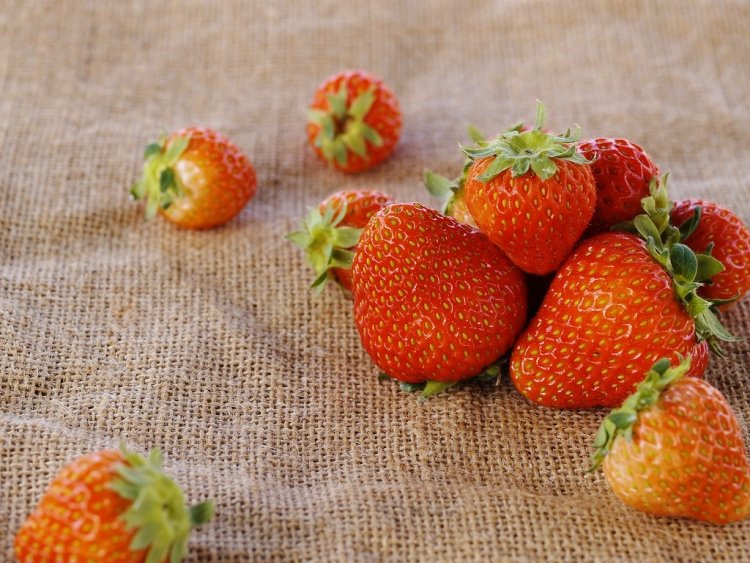 「いちご狩り」2015年開催期間決定しました！