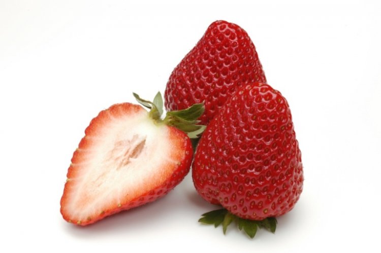 大粒いちごの収穫12月20日(火)～スタート！