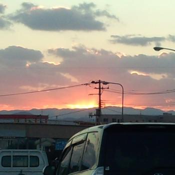 りんごの収穫時期、真っ盛りです!!