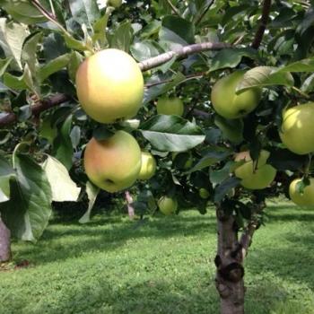 ご無沙汰しておりました