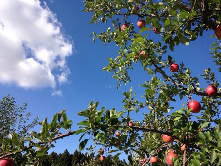 お知らせですm(_ _)m