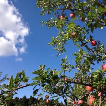 お知らせですm(_ _)m