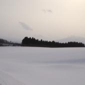 阿部りんご園 阿部りんご園