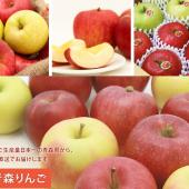 2015年の青森 りんごのご注文を開始しました。 2015年の青森 りんごのご注文を開始しました。