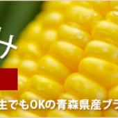 【朝採り 新鮮 嶽きみ】注文開始! 【朝採り 新鮮 嶽きみ】注文開始!