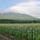 農業生産法人 有限会社ANEKKO