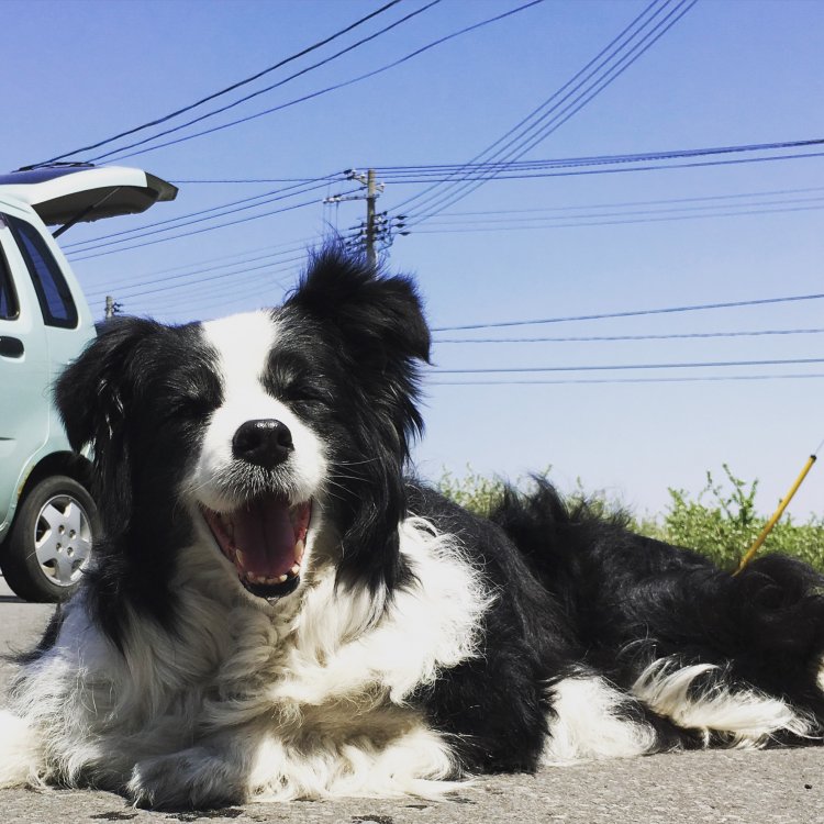 暖かくなったり涼しくなったり