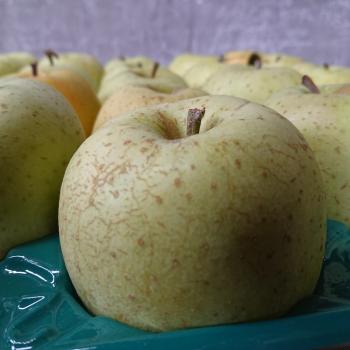 まだまだ絶賛発売中！！