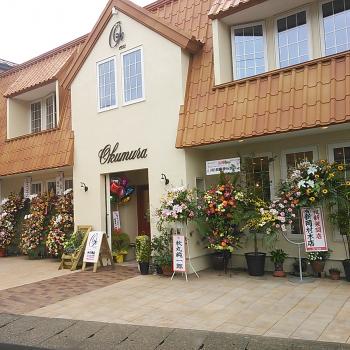 宮黒サイダーお取り扱い店のご紹介