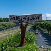 三内縄文ベリーランド