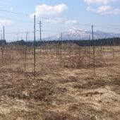 ベリーオーチャド下北