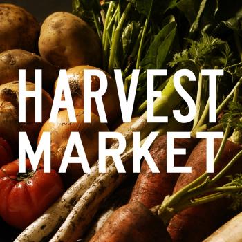 甘長とうがらし