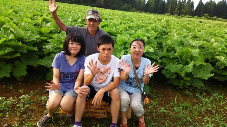 ごぼう畑はでっかいど～