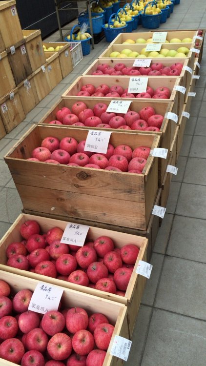 御歳暮にいかがでしょう