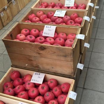 御歳暮にいかがでしょう 御歳暮にいかがでしょう