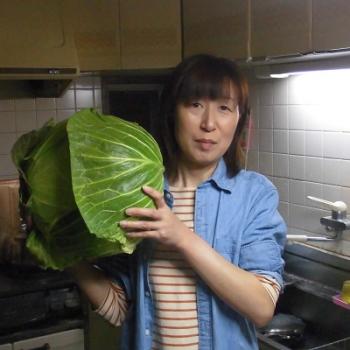 長左エ門射手矢農園の巨大キャベツ 長左エ門射手矢農園の巨大キャベツ