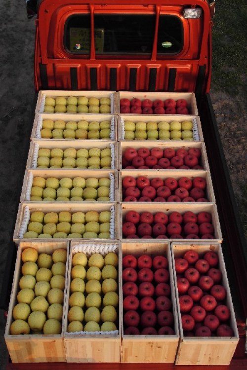 いっちゃん林檎農園のりんご・リンゴ加工品の販売のお知らせ