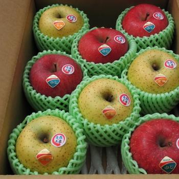 弘大藤崎農場でのチュウリップフェスティバルに参加