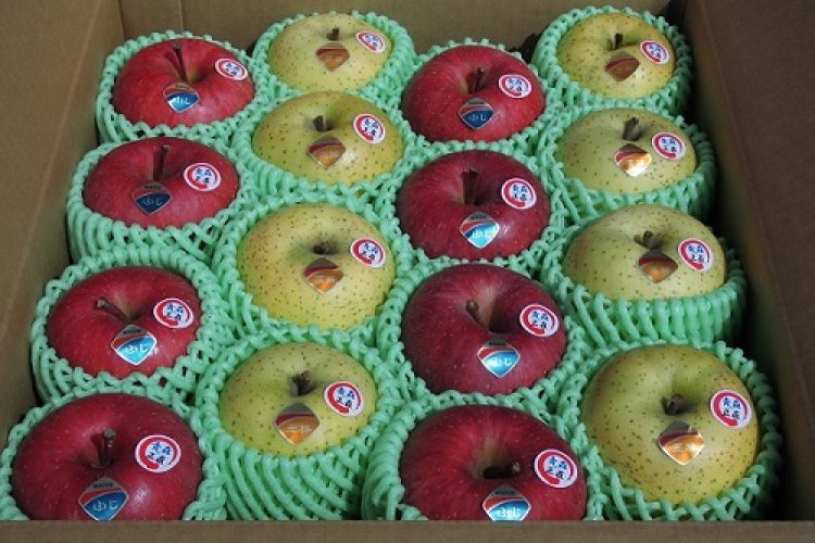 りんご限定販売のお知らせ