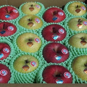 りんご限定販売のお知らせ りんご限定販売のお知らせ