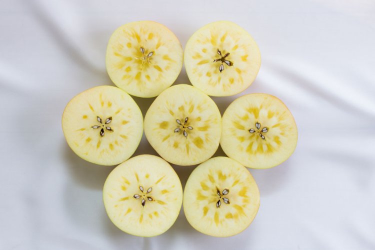 いっちゃん林檎農園のぐんま名月予約注文受付中！