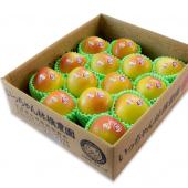 いっちゃん林檎農園のぐんま名月予約注文受付中！