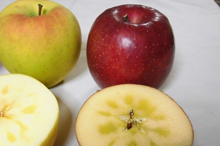 りんごの惑星４に出陣！