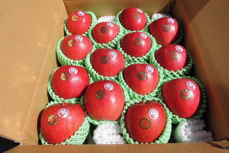 弘前ふじのご予約開始！