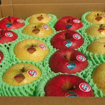 今シーズン　元祖、青リンゴで王道の王林が最高の出来ですよ！