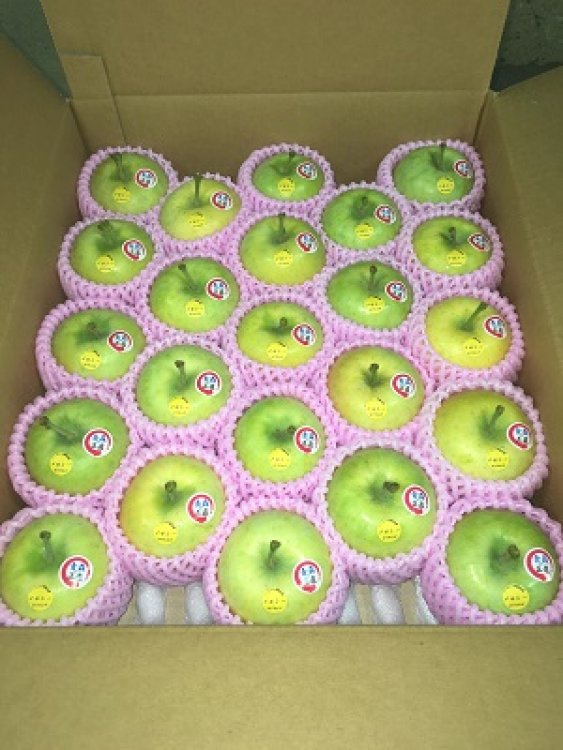 極早生品種「メルシー」と「恋空」予約注文開始