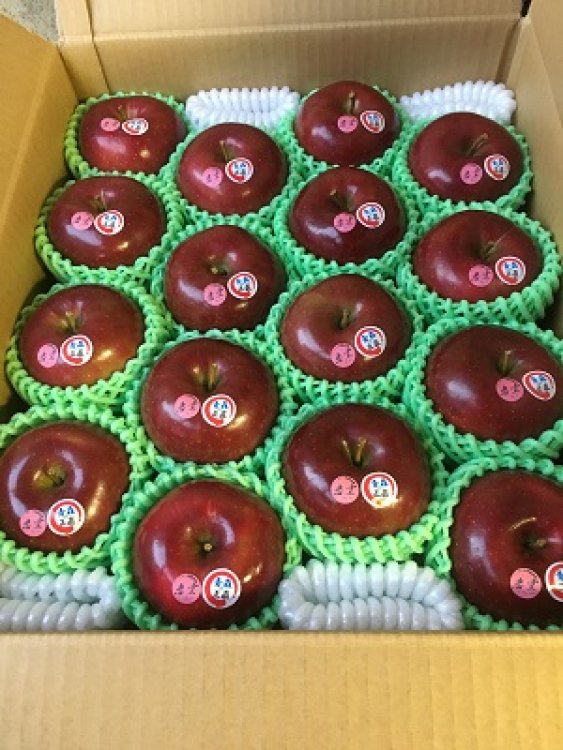 極早生品種「メルシー」と「恋空」予約注文開始