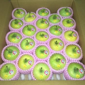 極早生品種「メルシー」と「恋空」予約注文開始