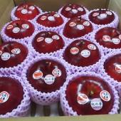 いっちゃん林檎農園からのお知らせ