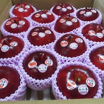 いっちゃん林檎農園からのお知らせ