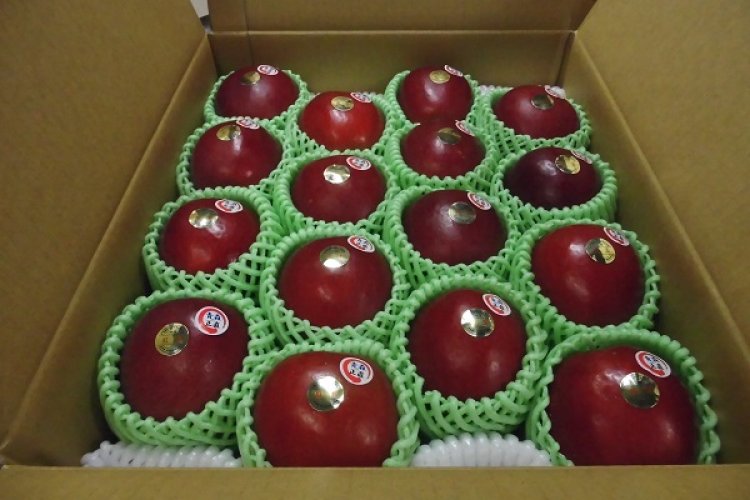 いっちゃん林檎農園からのお知せ ③