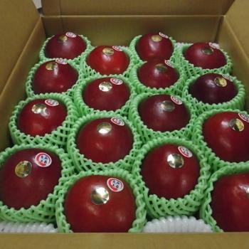 いっちゃん林檎農園からのお知せ ③