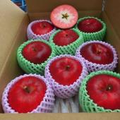 クッキング用アップルの予約販売開始中。