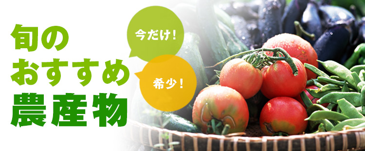 青森県の旬のおすすめ農産物をご紹介します。