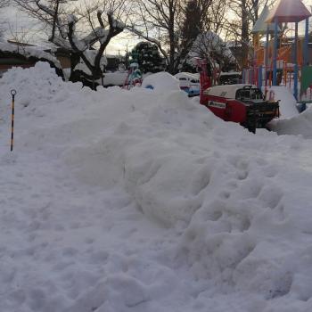 大きなプレゼント! 大きなプレゼント!