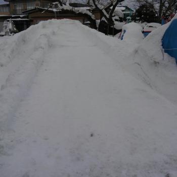 堂々っぷり見てよ! 堂々っぷり見てよ!