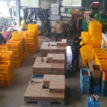 いい出来! いい出来!