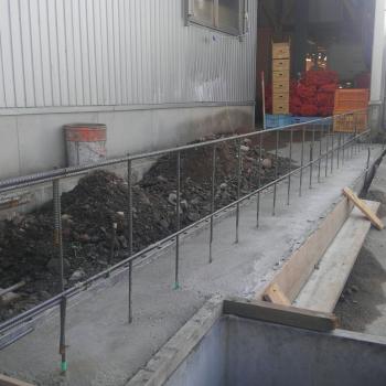 今度は何? 今度は何?