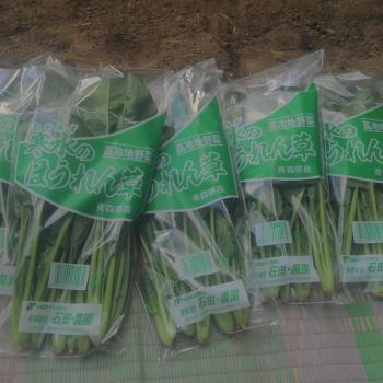 「寒水のほうれん草」よろしくね！