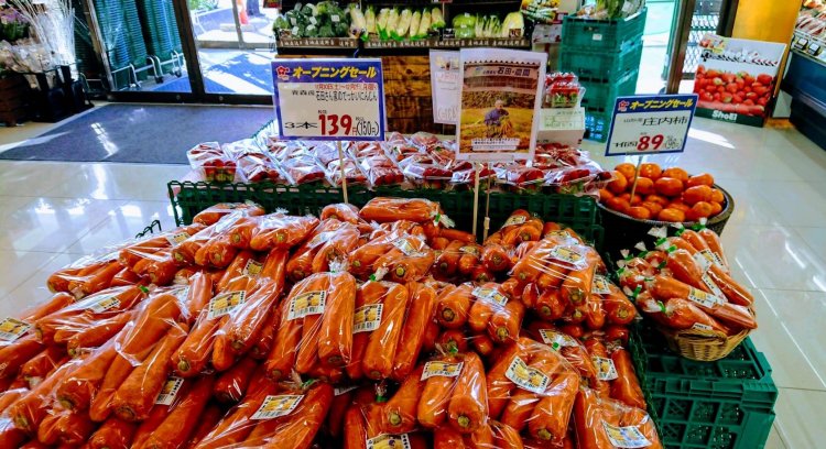 ニンジンが関東に進出！