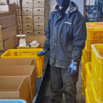 ベトナムから！