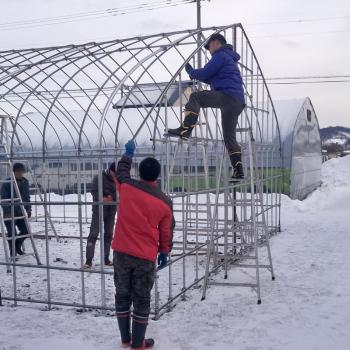 ん？またハウス？