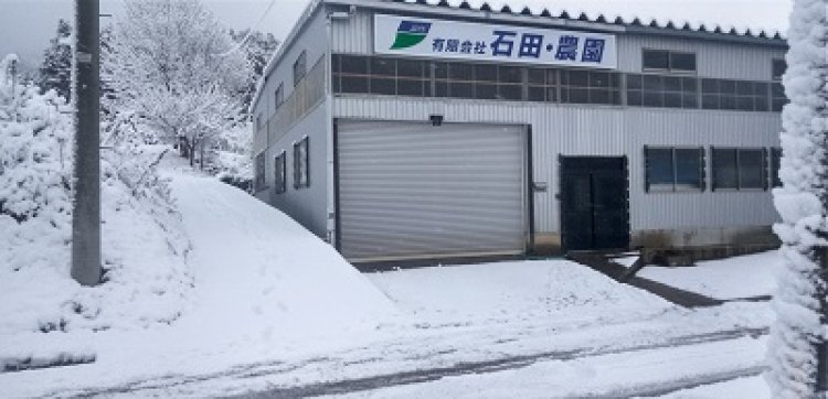 初雪！