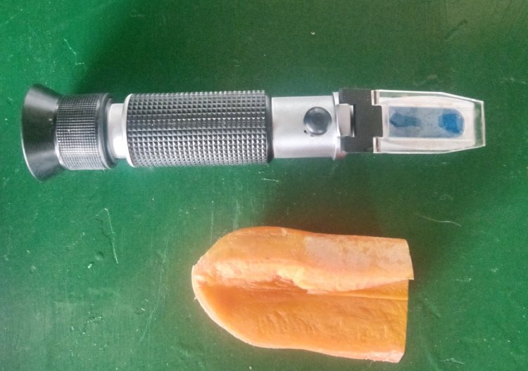 甘い春にんじん！