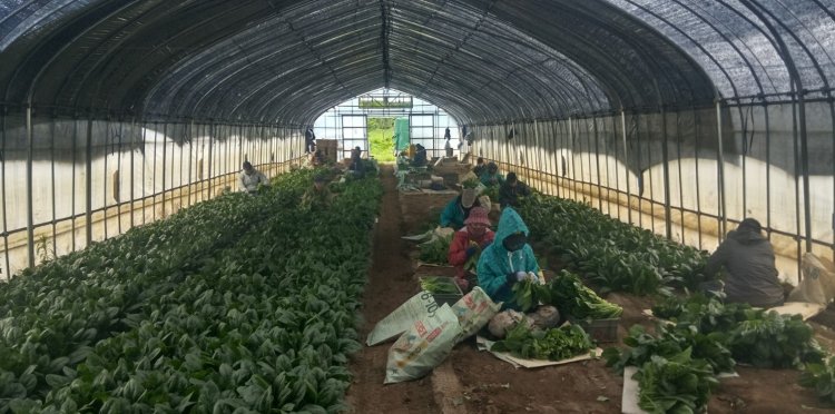 美味しさの秘密！