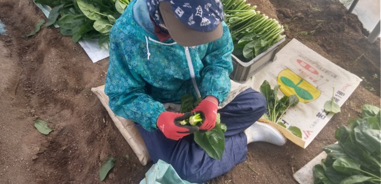 美味しさの秘密！